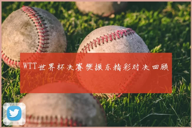 WTT世界杯决赛樊振东精彩对决回顾