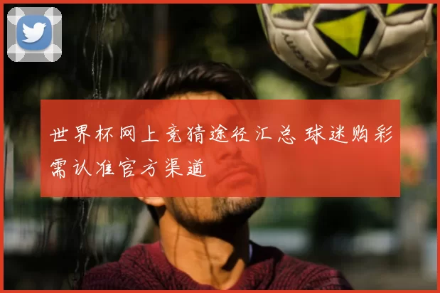 世界杯网上竞猜途径汇总 球迷购彩需认准官方渠道