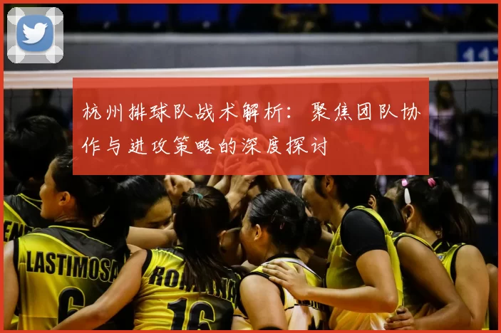 杭州排球队战术解析:聚焦团队协作与进攻策略的深度探讨