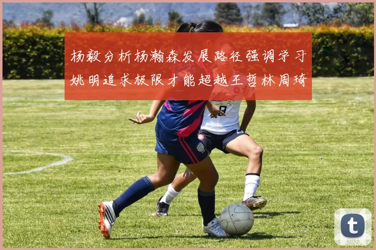 杨毅分析杨瀚森发展路径强调学习姚明追求极限才能超越王哲林周琦状态