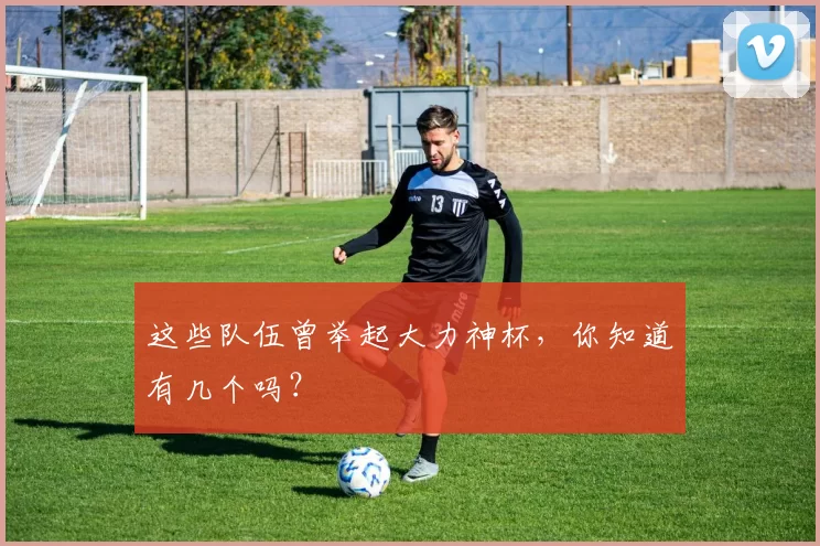 这些队伍曾举起大力神杯,你知道有几个吗?