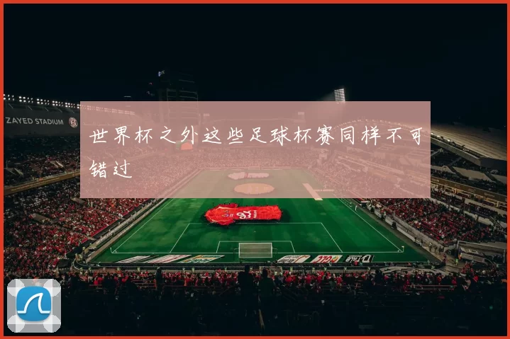 世界杯之外这些足球杯赛同样不可错过