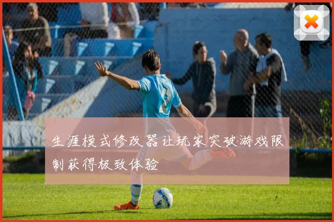 生涯模式修改器让玩家突破游戏限制获得极致体验