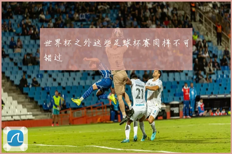 世界杯之外这些足球杯赛同样不可错过