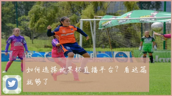 如何选择世界杯直播平台?看这篇就够了
